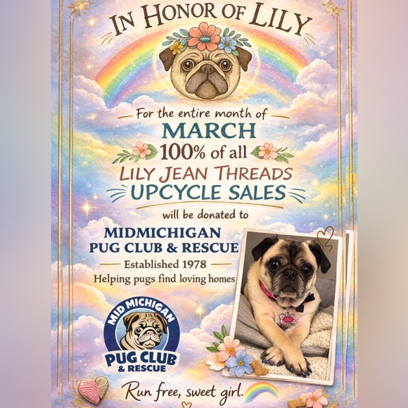 Express Tops - ✂️🐾 POSH WITH TASH CUSTOMS🐾✂️